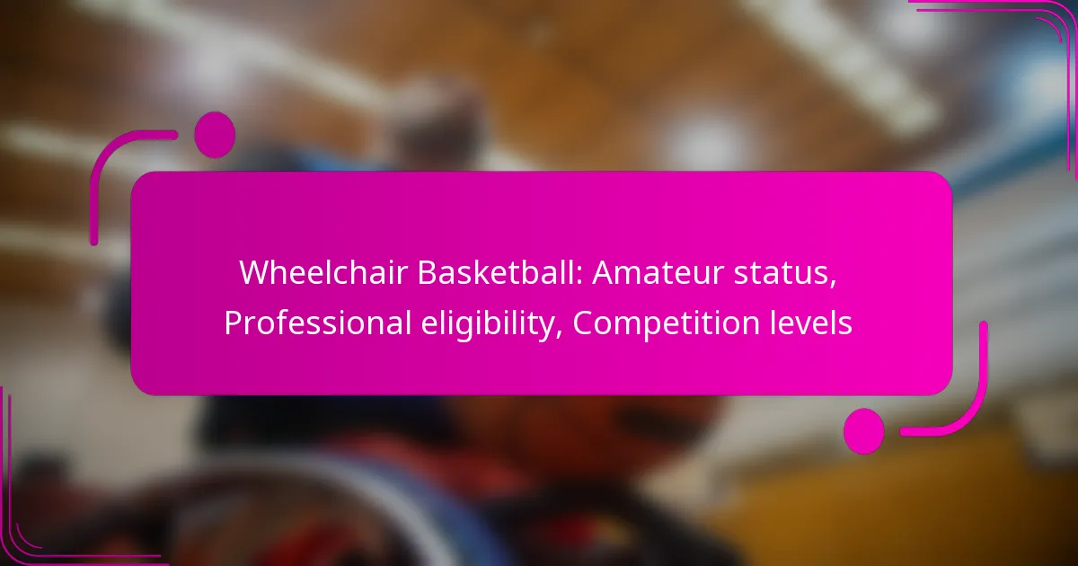 Wheelchair Basketball: Amateur status, Professional eligibility, Competition levels