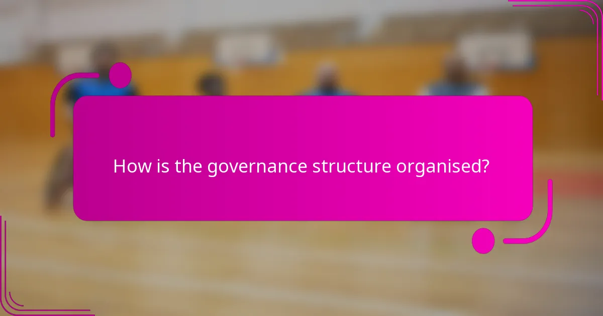 How is the governance structure organised?