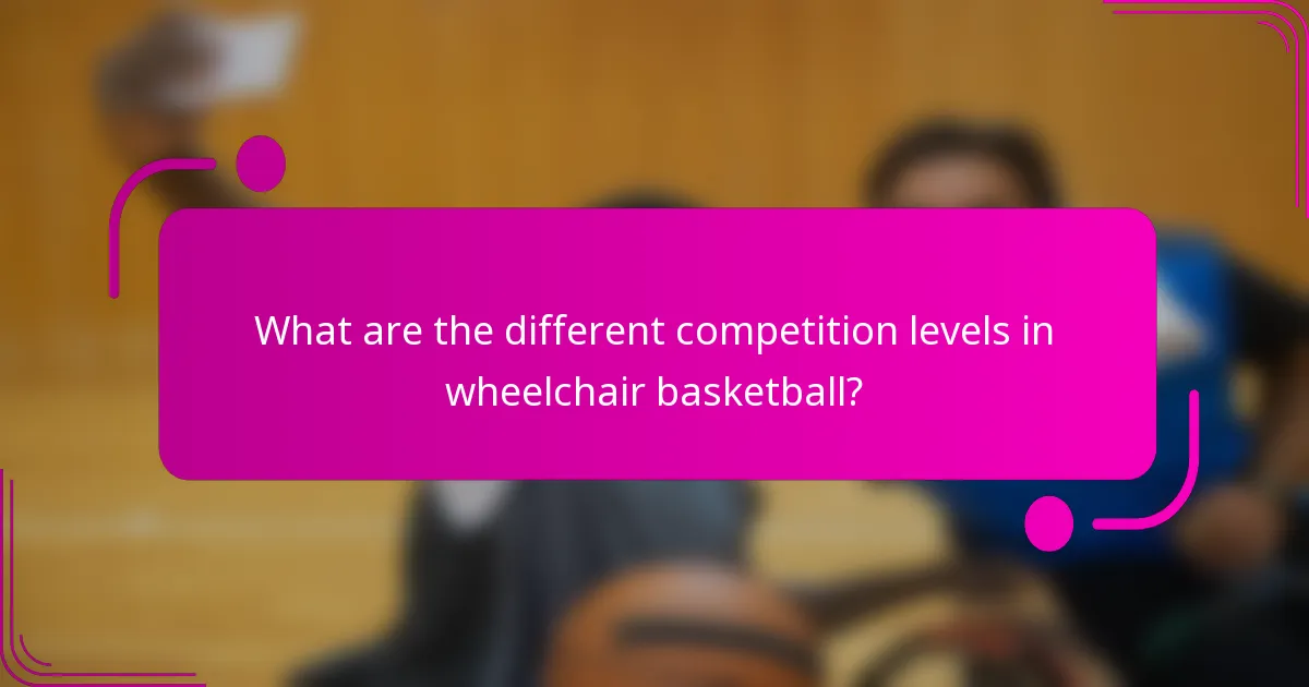 What are the different competition levels in wheelchair basketball?