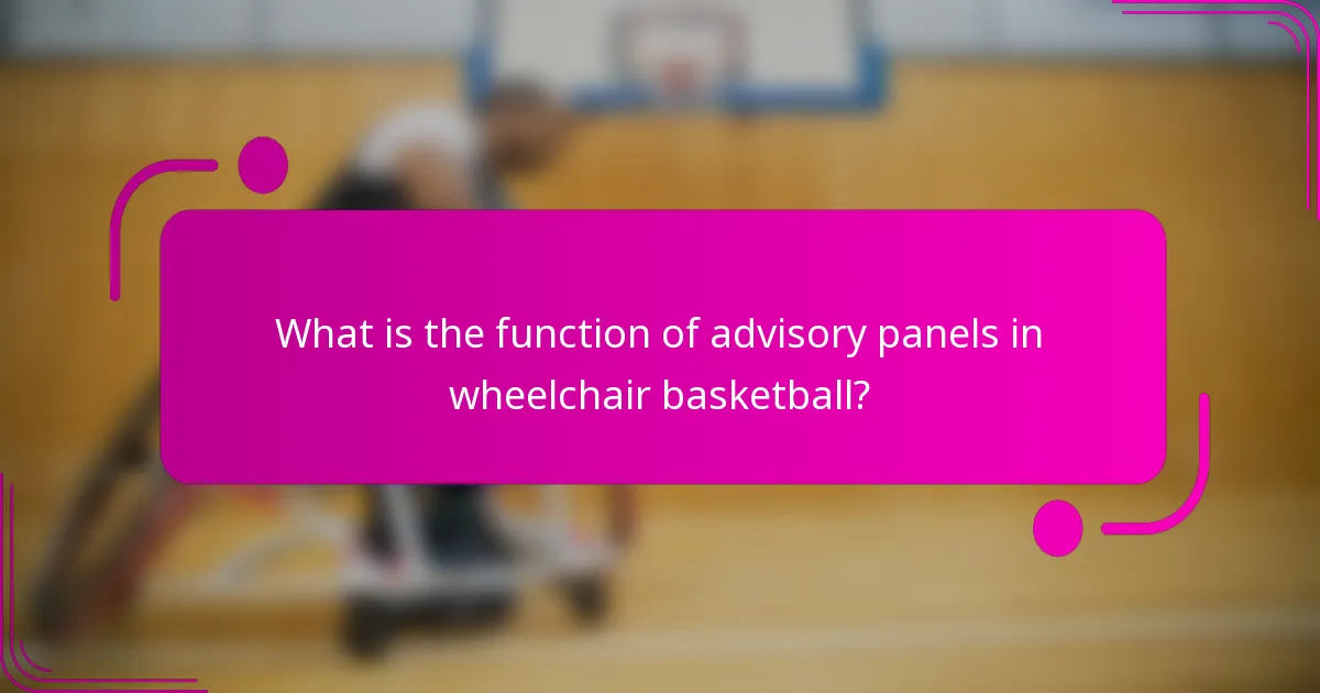 What is the function of advisory panels in wheelchair basketball?