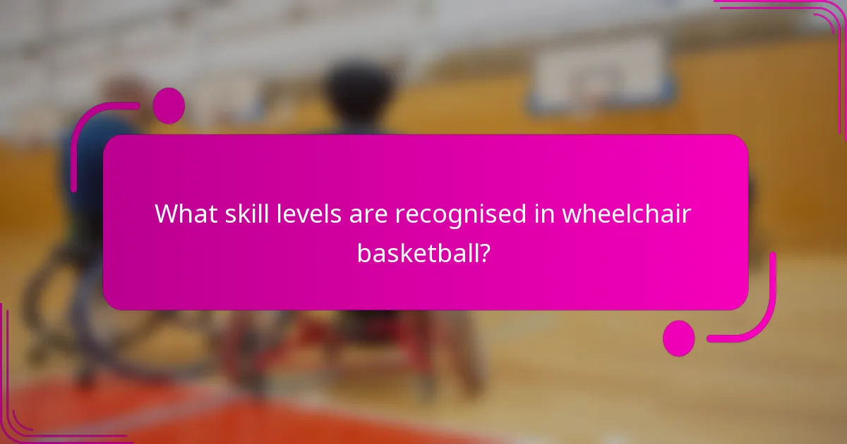What skill levels are recognised in wheelchair basketball?