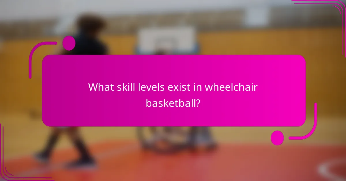 What skill levels exist in wheelchair basketball?
